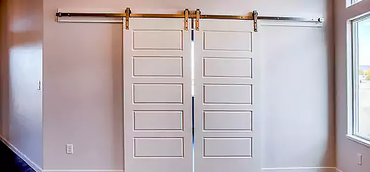 Glass Barn Door with Installation Hardware Kit Frederickson