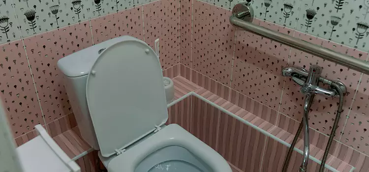 Meeting Diverse Needs With Accessible Restroom Solutions in Frederickson, WA